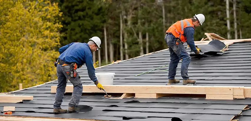 Architectural Shingle Repair Dundee