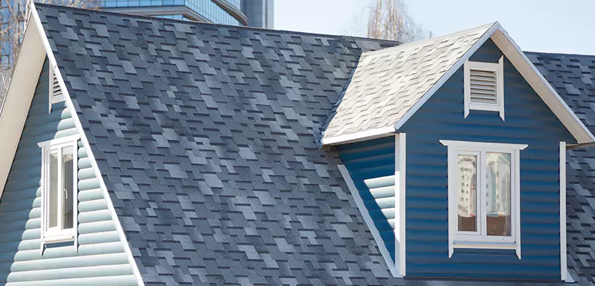 Shingle Roof Maintenance in Dundee